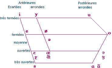 les traits distinctifs en phonologie pdf