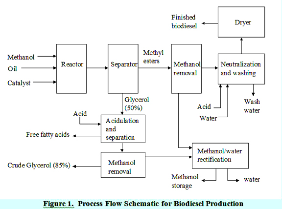 transesterification process for biodiesel production pdf