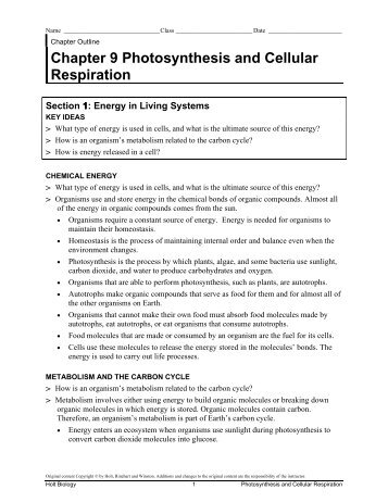 cellular respiration and photosynthesis worksheet pdf