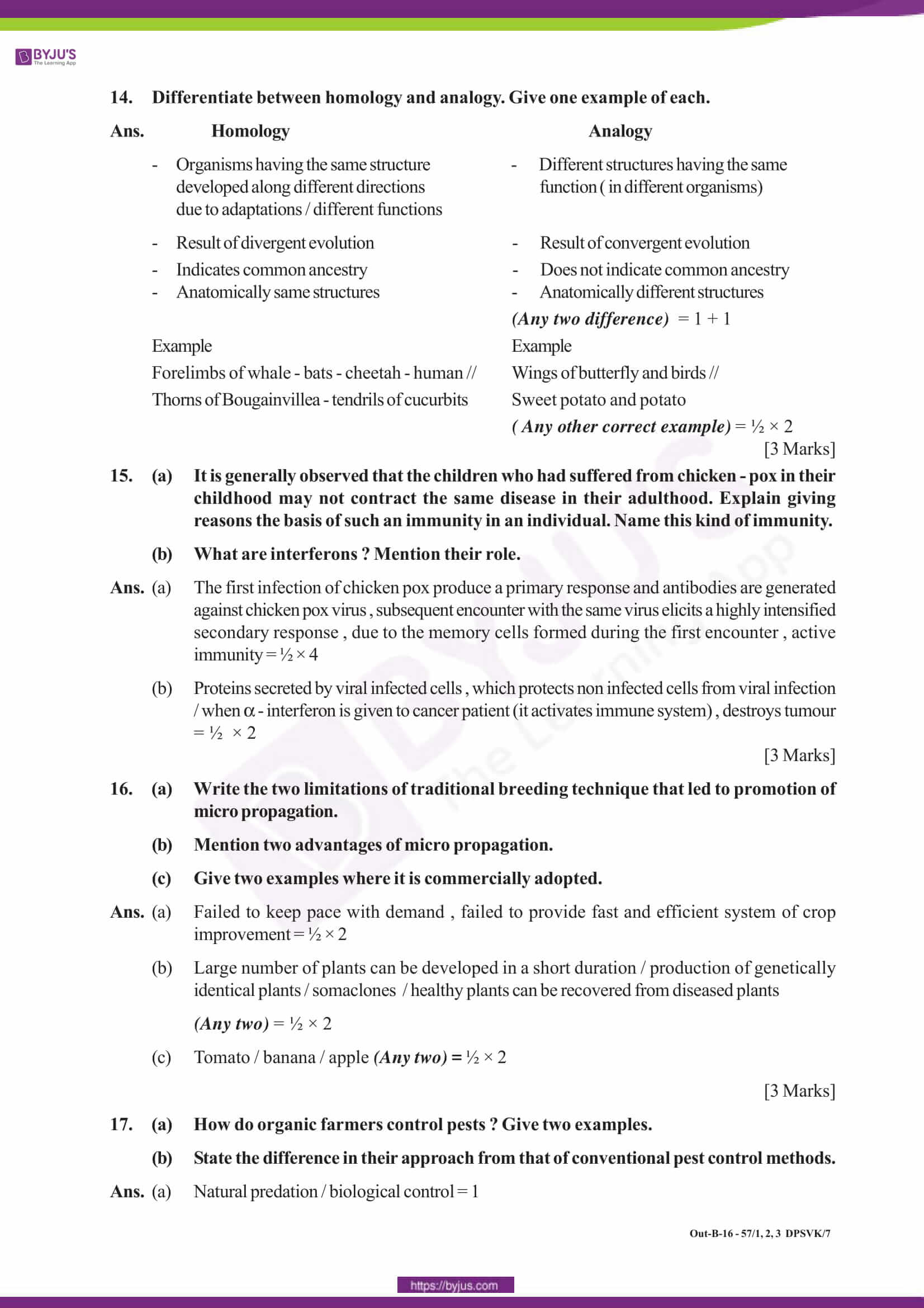 classification and codification of materials pdf