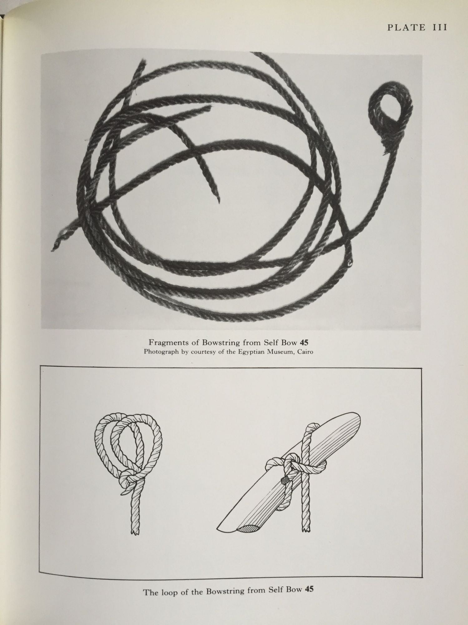 the art of archery pdf