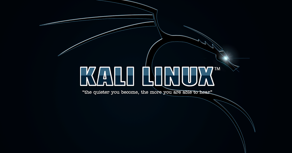 kali linux hacking guide pdf