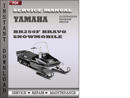 yamaha fzr 250 manual pdf