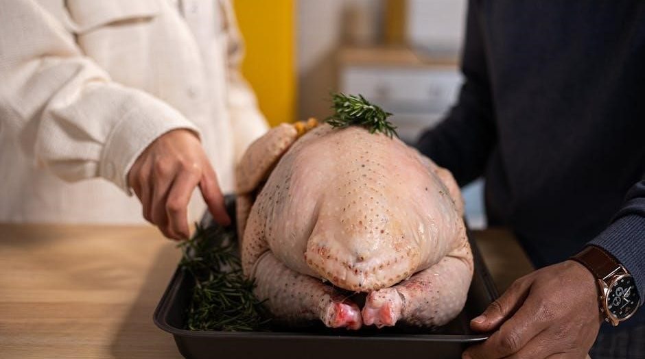 masterbuilt butterball electric turkey fryer manual